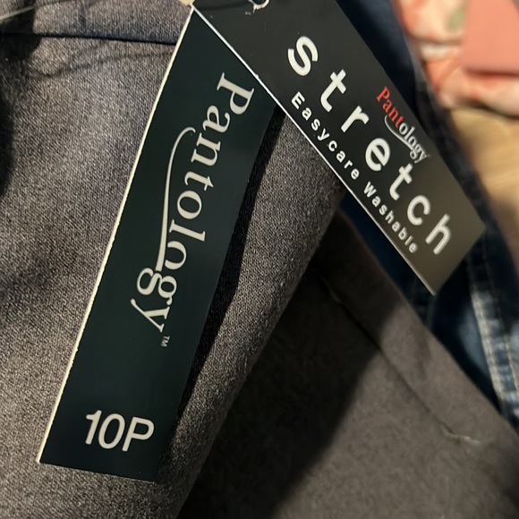 Pantology, gray slacks, 10P - Picture 3 of 6
